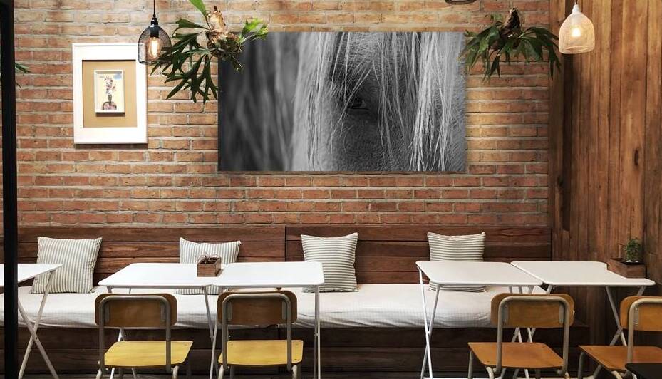 The Horse II by Trey Neal  Natures Wildscapes