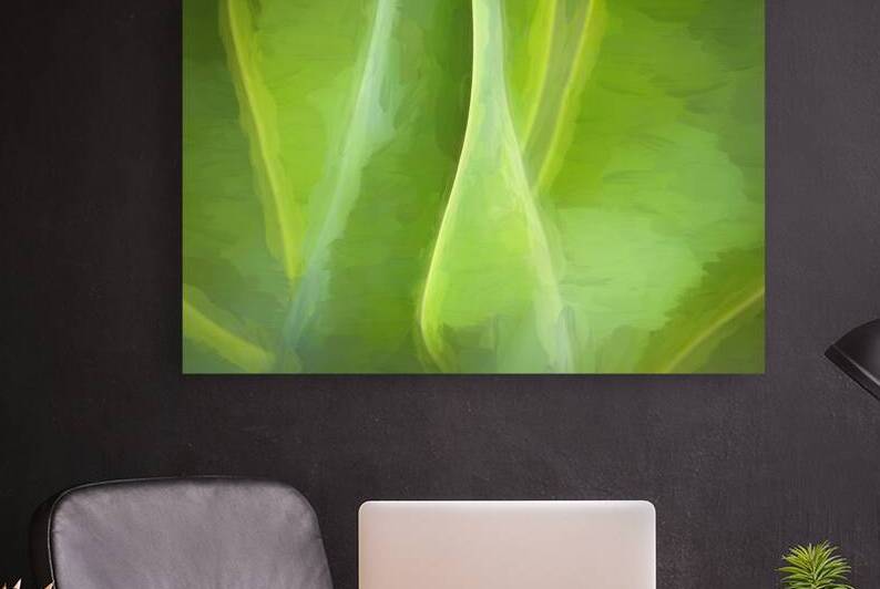 Agave Leaves Abstract X1 2 by Rich Franco