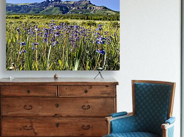 Flowers and the Poles by Dick Davis