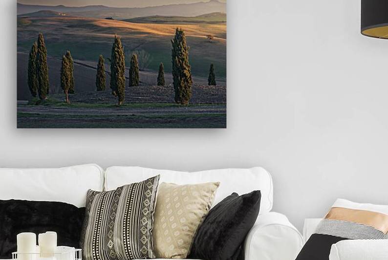 Cypresses of Orcia Valley and the last lights of the sunset by Stefano Orazzini