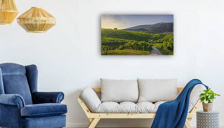 Vineyards and road. Prosecco Hills. Italy by Stefano Orazzini