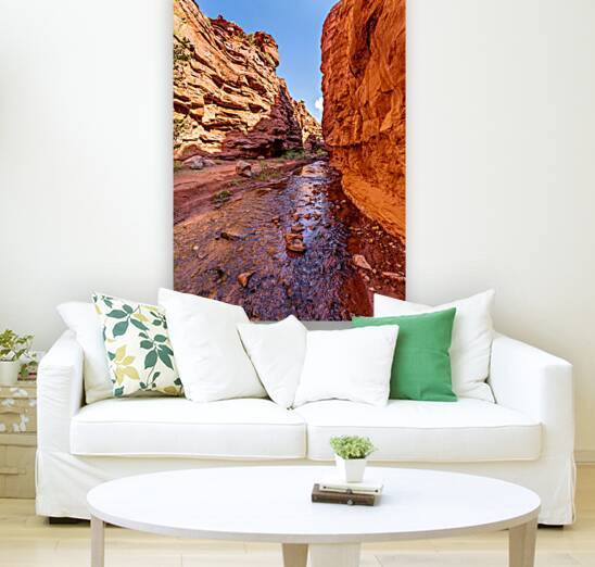 Mary Jane Slot Canyon Walls Vertical by Jennifer White