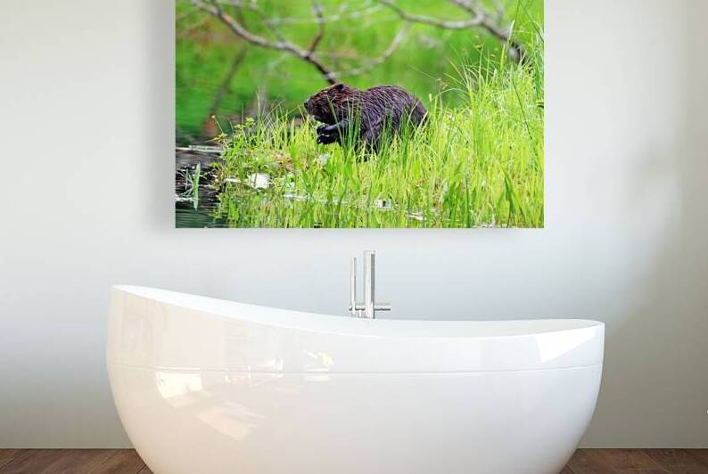 Someone Is Coming by Deb Oppermann