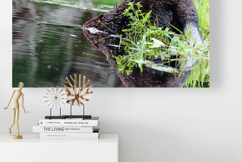 Time To Move by Deb Oppermann