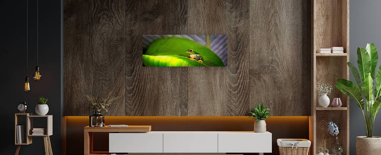 Frog on Leaf by Chirag Pandya