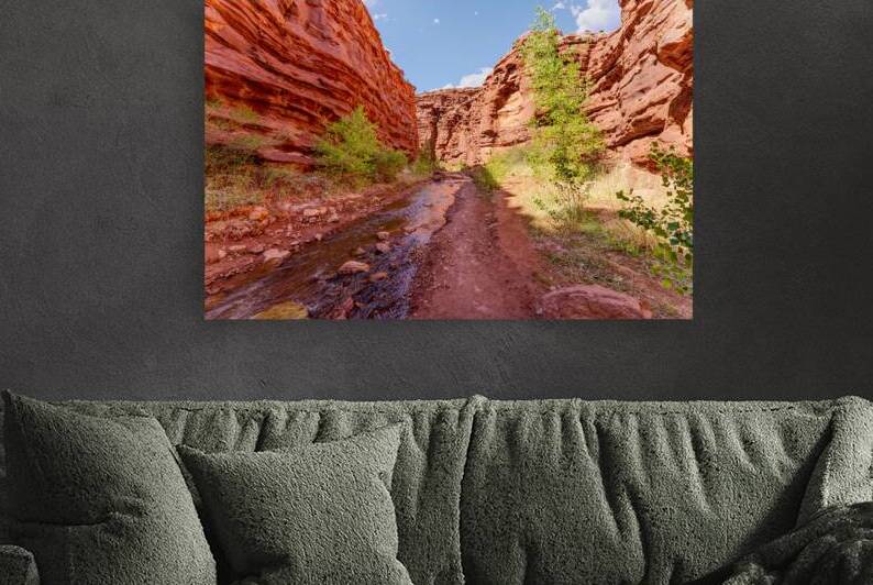 Mary Jane Canyon Red Rock Walls by Jennifer White
