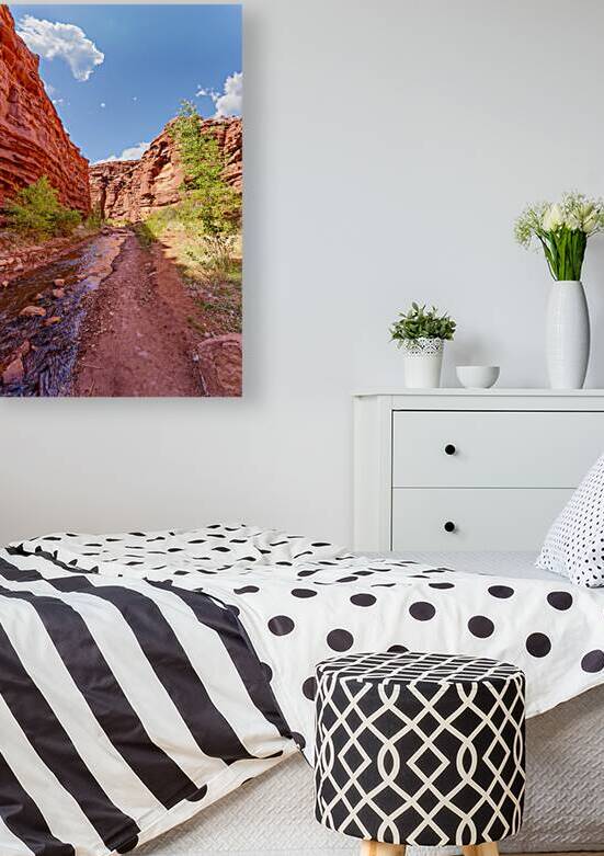 Mary Jane Canyon Red Rock Walls Vertical by Jennifer White