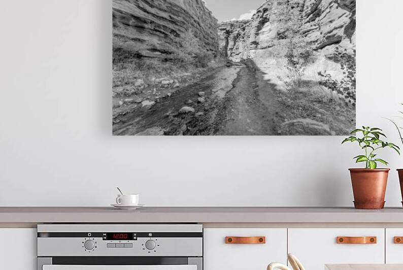 Mary Jane Canyon Red Rock Walls Grayscale by Jennifer White