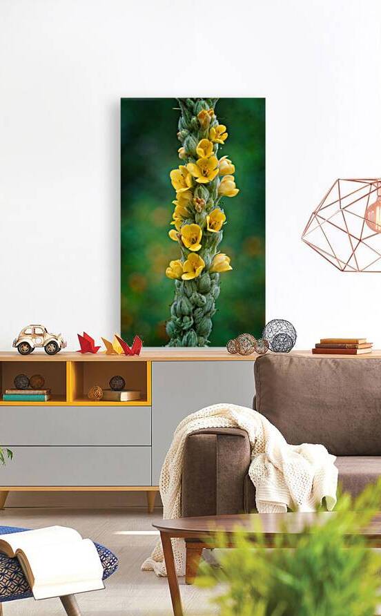Vertical Symphony of Yellow Blooms by Chirag Pandya
