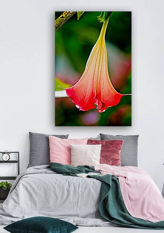 Angel’s Trumpet Glow by Chirag Pandya