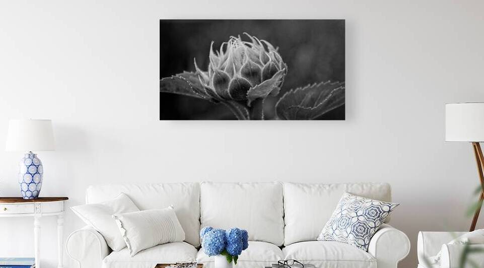 Emergence by Chirag Pandya