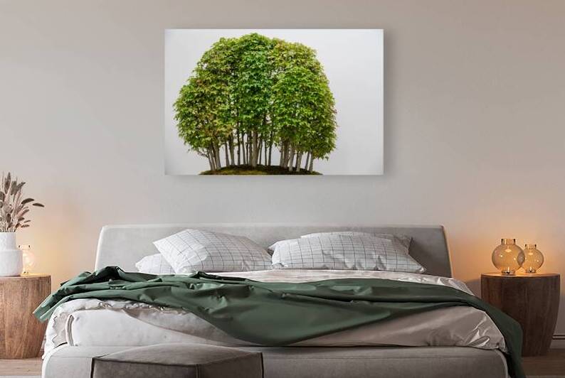 Yose-Ue Forest Garden by Adel B Korkor