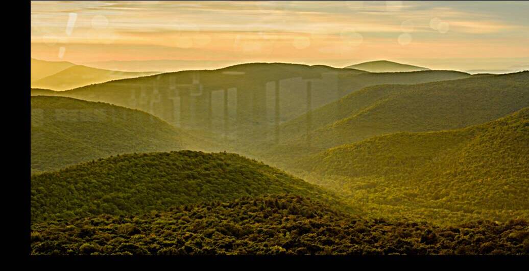 Evergreen Heart by Jane Haslam