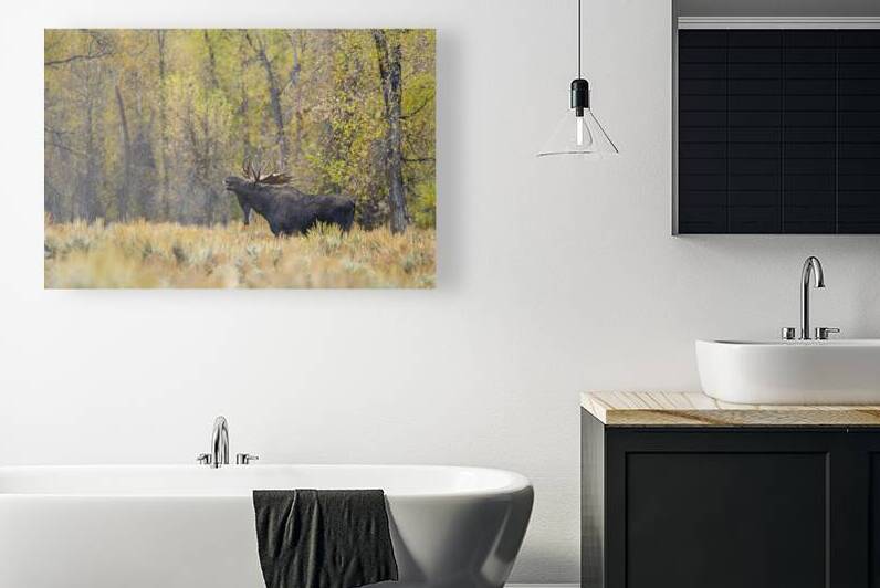 Calling by Trey Neal  Natures Wildscapes