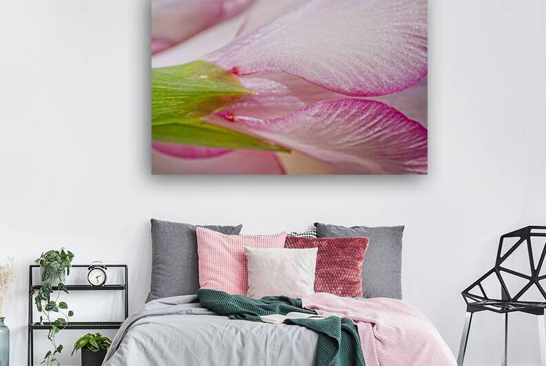 Pink Gladiolus Macro by Iris H Richardson