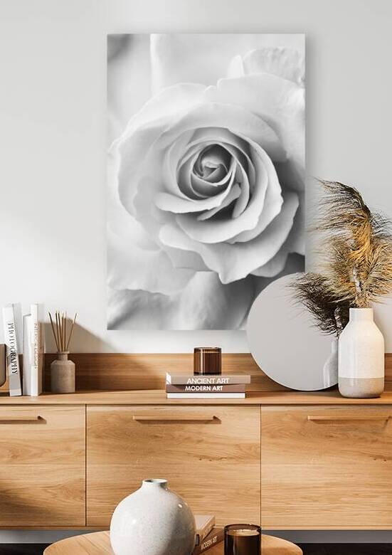 White Rose  by Wildhood