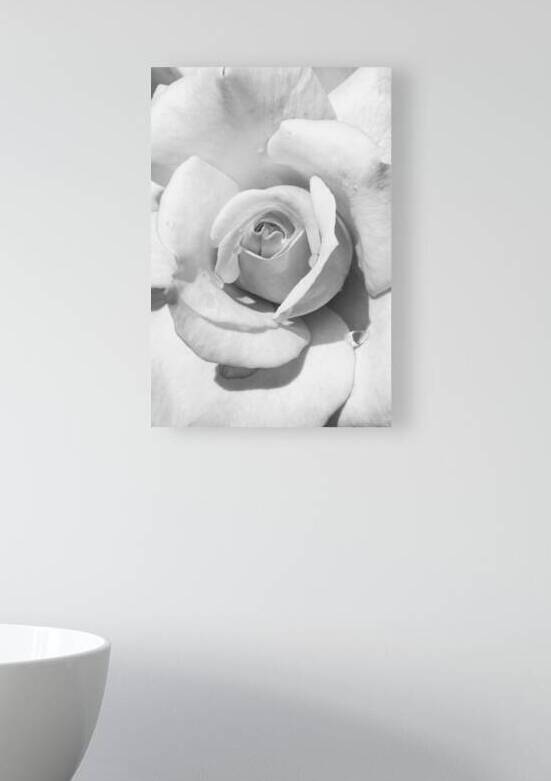 Rose | Minimalism by Wildhood