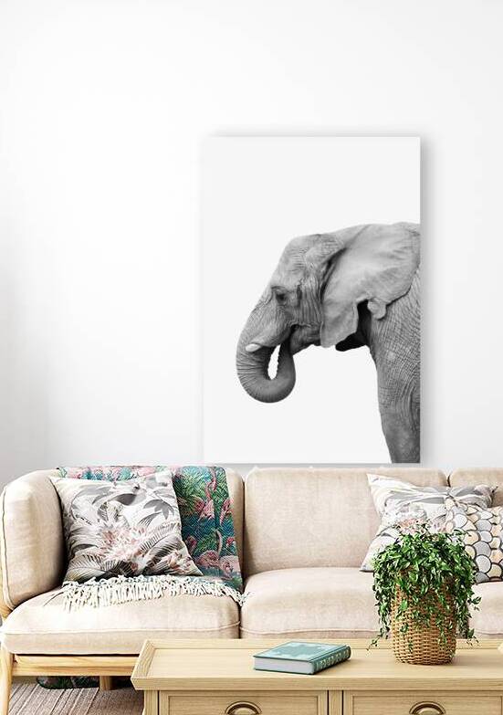 African Elephant  by Wildhood
