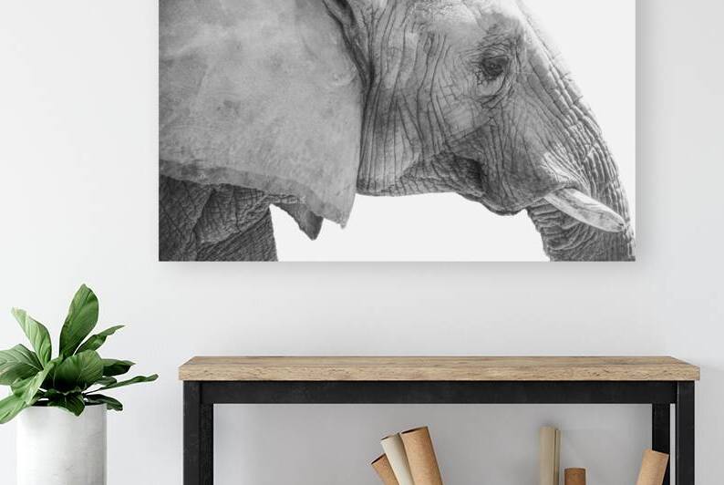 Elephant | Black and White by Wildhood