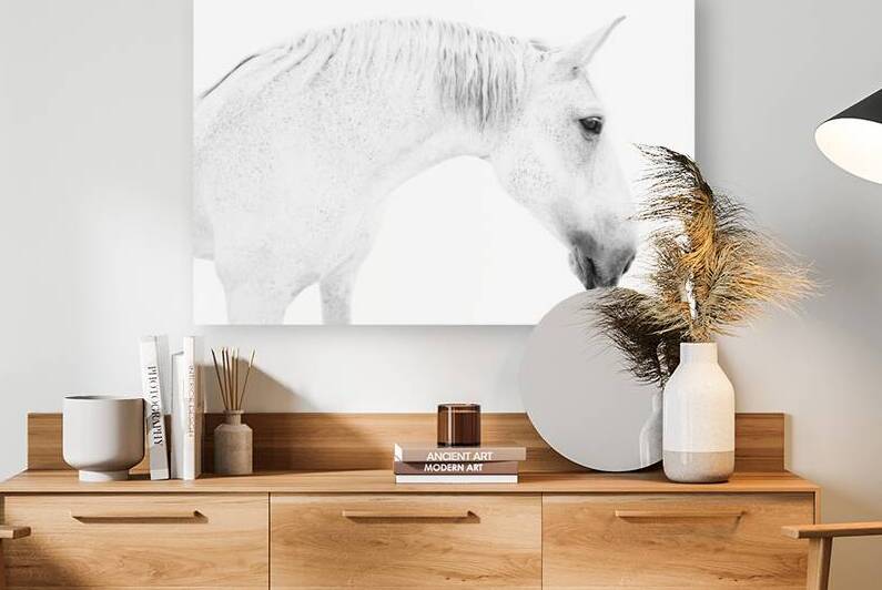 White Horse  by Wildhood