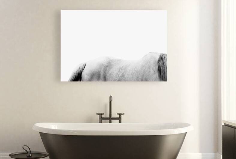 Horse | Abstract by Wildhood