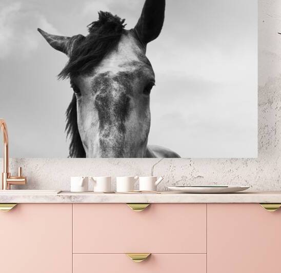 Horse | Black and White by Wildhood