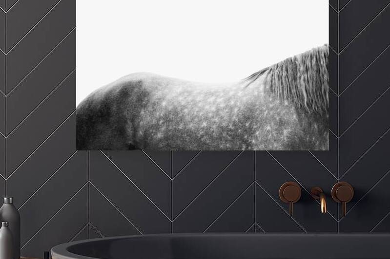 Horse Spotted by Wildhood