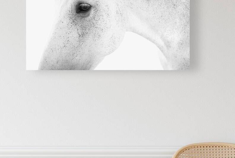 White Horse | Minimal by Wildhood