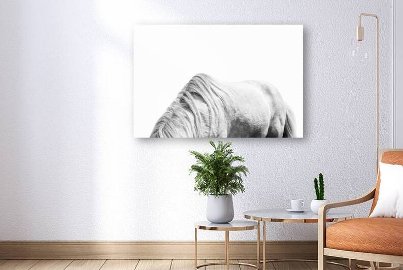 Horse Mane  by Wildhood