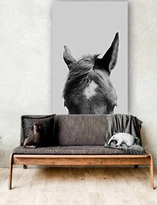 Horse Ears by Wildhood