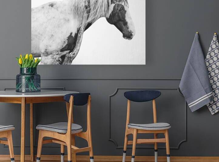 Horse Portrait  by Wildhood