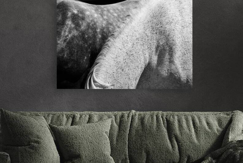 Spotted Horses Mane  by Wildhood