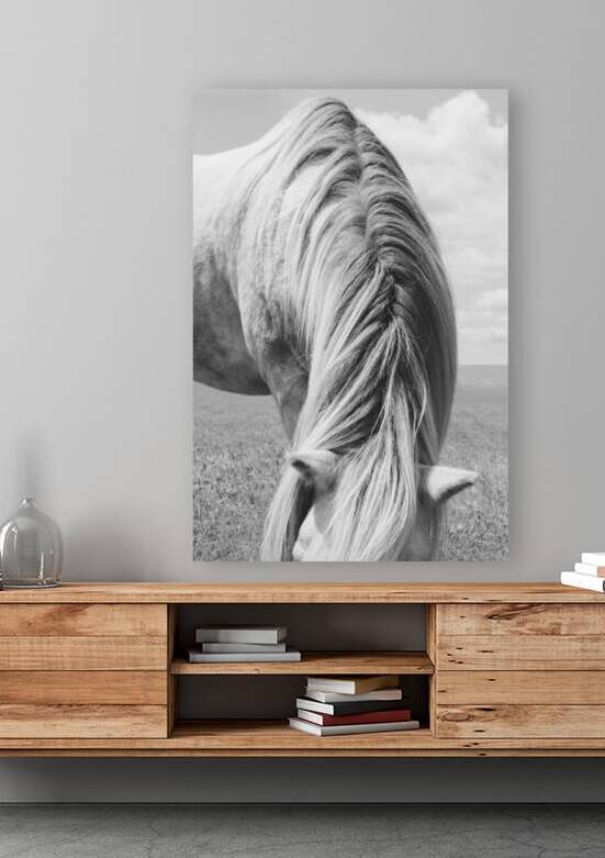 White Horse Mane  by Wildhood