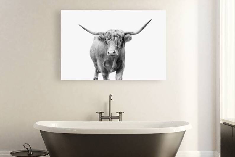 Highland Cow  | Horns | Scottish by Wildhood