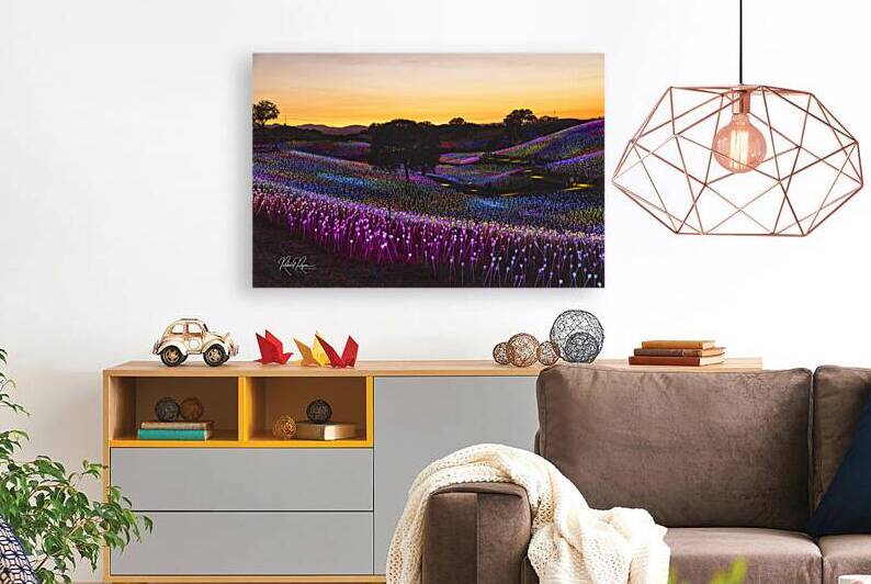 Lighted Sunset by Robert E Ryan