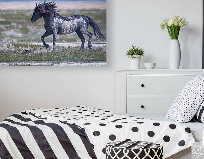 Blackly beautiful by Susan Lynn Cooke