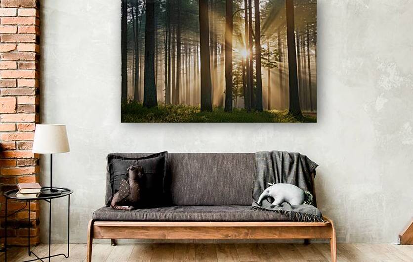 A forest at sunset by Leighton Collins