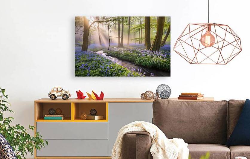 Bluebell woods at dawn by Leighton Collins