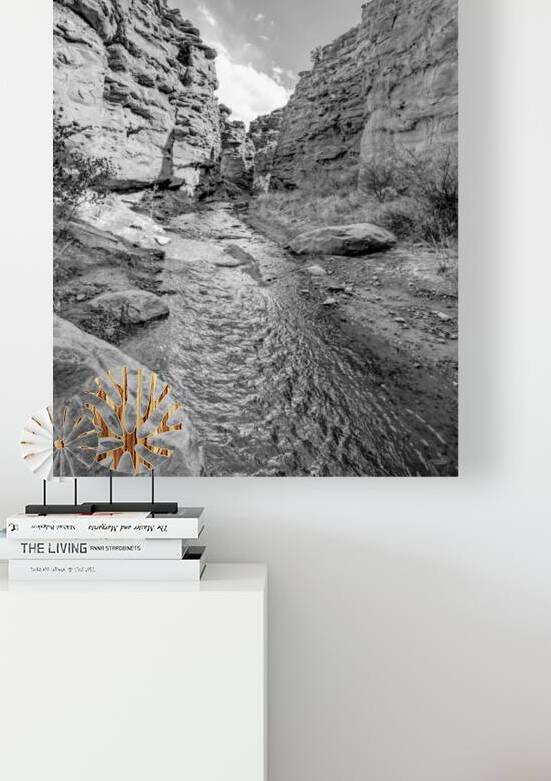 Mary Jane Canyon Moab Utah Vertical Grayscale by Jennifer White