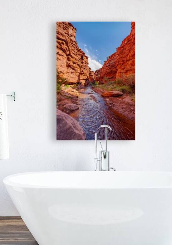 Mary Jane Canyon Moab Utah Vertical by Jennifer White