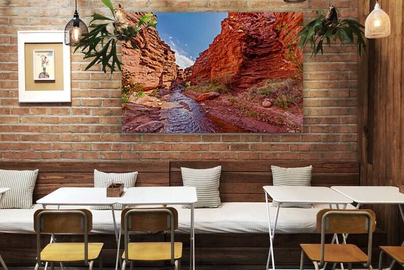 Mary Jane Canyon Moab Utah by Jennifer White