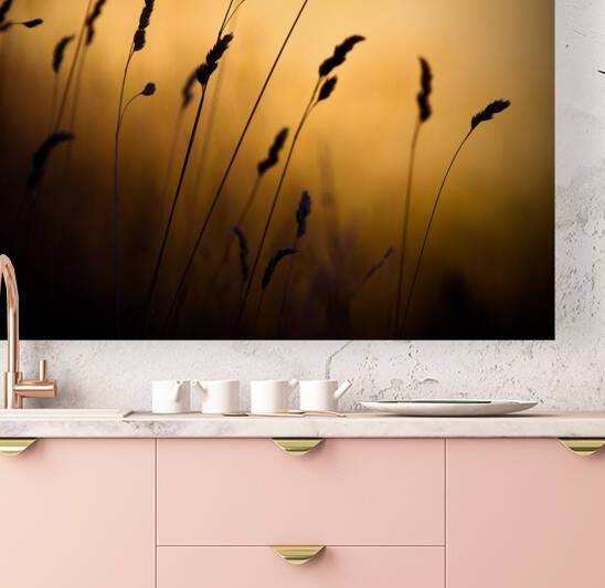 The Field by Dave Bowman