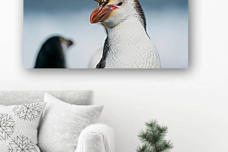 Royal Penguin by Adel B Korkor