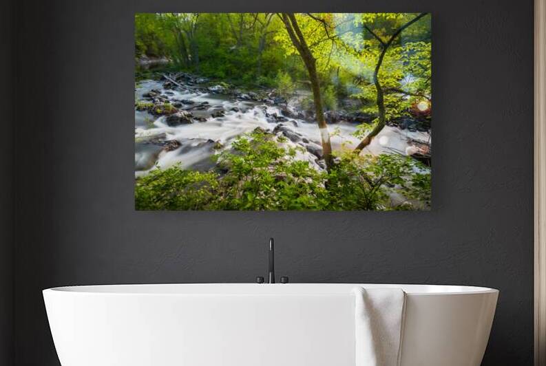 The Rapids by Jane Haslam