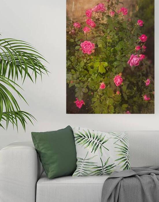 Roses by my Window by Shelia Hunt Photography