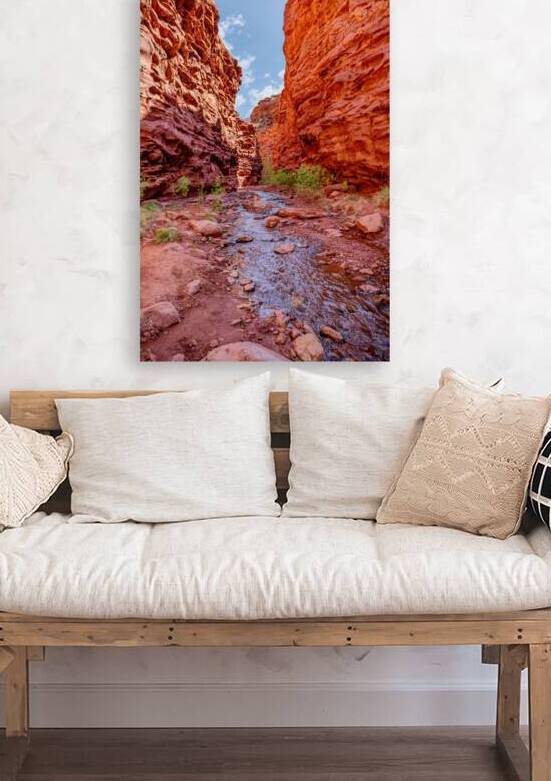 Professor Creek Flowing Through Mary Jane by Jennifer White