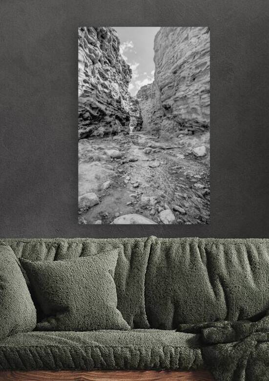 Professor Creek Flowing Through Mary Jane Grayscale by Jennifer White