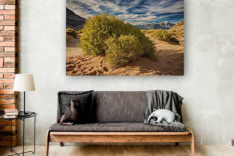 green bushes on the sand in a canyon in the deser 1721317145.3288 by Ioan Cipariu