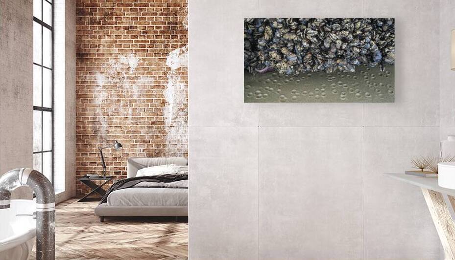 Seal Rock Beach Mussels and Sand Prints on the Oregon Coast by Kathleen Reed