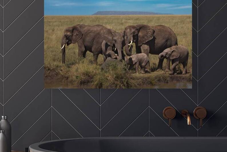 Elephant Family Gathering by Chirag Pandya